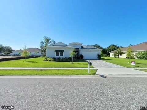 Serengeti, SPRING HILL, FL 34610