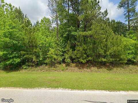 Mask, BROOKS, GA 30205
