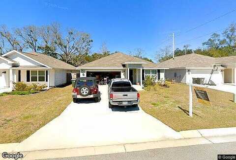 Lovebird, PENSACOLA, FL 32534