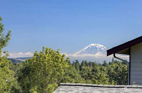 58Th, SEATTLE, WA 98115