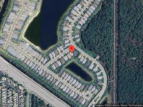 Bromeliad, NAPLES, FL 34114