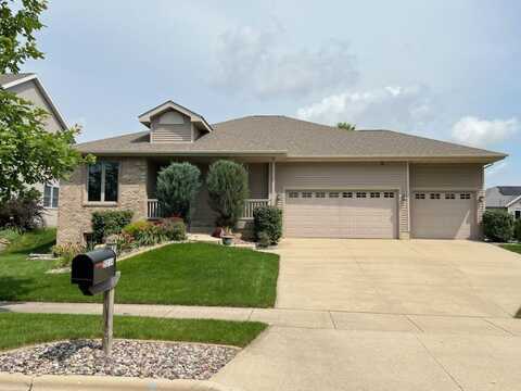 Ninebark, FITCHBURG, WI 53711