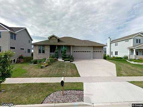 Ninebark, FITCHBURG, WI 53711