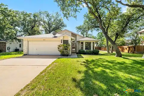 Trumpet Vine, CEDAR PARK, TX 78613