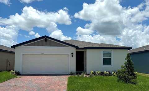 Walking Stick, KISSIMMEE, FL 34759