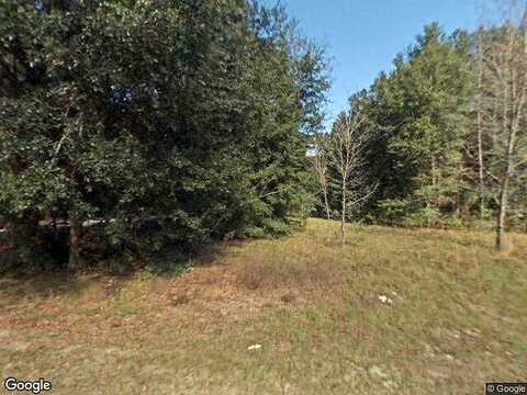 142Nd, SUMMERFIELD, FL 34491