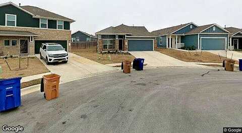 Lithodora, DEL VALLE, TX 78617