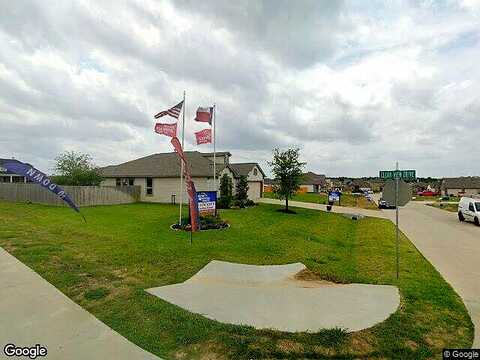 Lulu, WILLIS, TX 77318