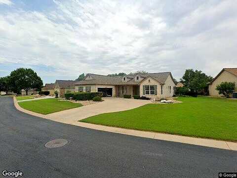 Dandelion, GEORGETOWN, TX 78633