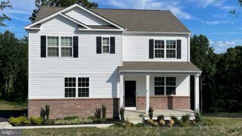 White Tail, LOCUST GROVE, VA 22508