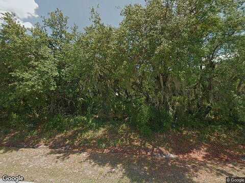 Shad, KISSIMMEE, FL 34759