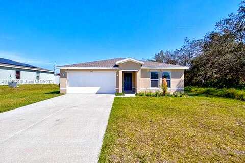 Shad, KISSIMMEE, FL 34759