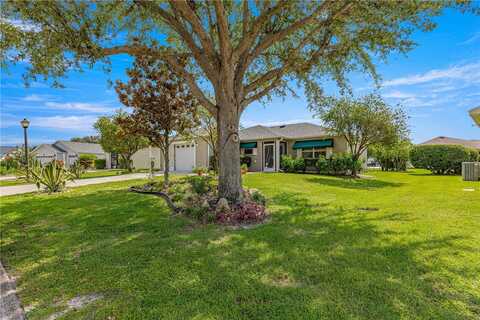 Hollyberry, THE VILLAGES, FL 32162