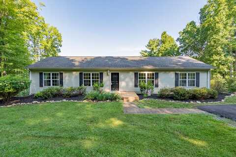 Blueberry, GALAX, VA 24333