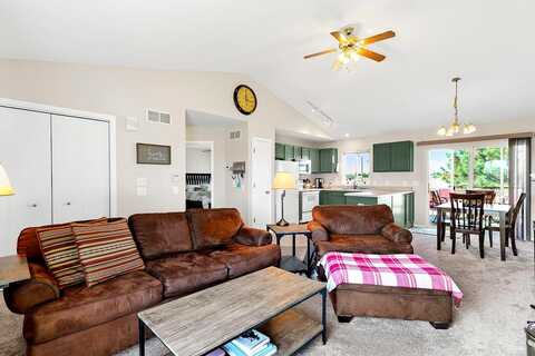 Nighthawk, SAUK CITY, WI 53583