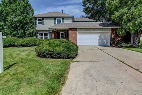 Larkspur, MIDDLETON, WI 53562