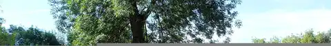 Dale, MOORHEAD, MN 56560