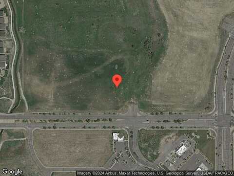 Boral Owl, BRIGHTON, CO 80601