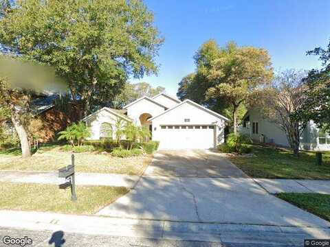 Duval, SAFETY HARBOR, FL 34695