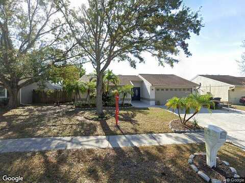 Bay Lake, OLDSMAR, FL 34677