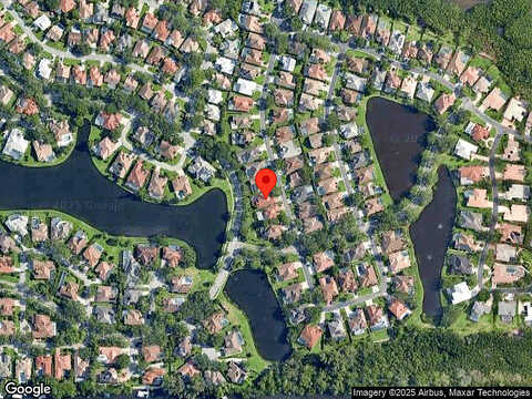 Queen Palm, SAINT PETERSBURG, FL 33703
