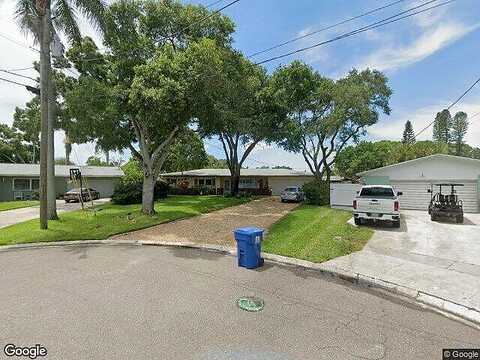 Butterfly, SAINT PETERSBURG, FL 33703