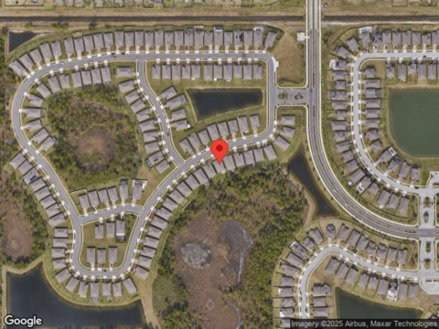 Caladium, MELBOURNE, FL 32904