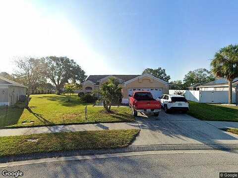 Fountainview, OLDSMAR, FL 34677