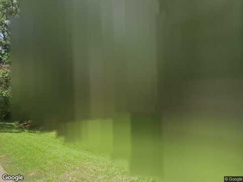 Wandering Oak, SPRING, TX 77381