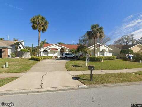 Jarvis, PALM HARBOR, FL 34683