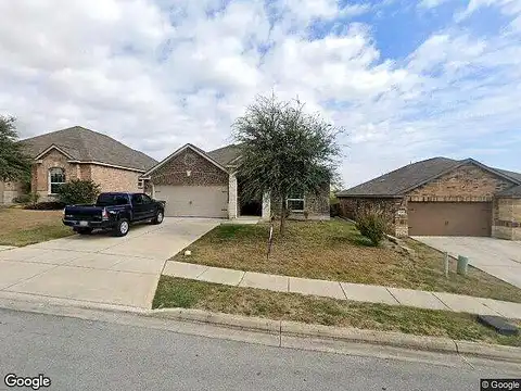 Chrysanthemum, NEW BRAUNFELS, TX 78132
