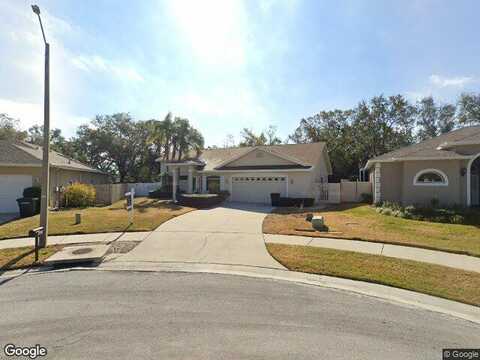 Dana, SAFETY HARBOR, FL 34695