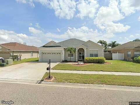 Swamp Rose, TRINITY, FL 34655