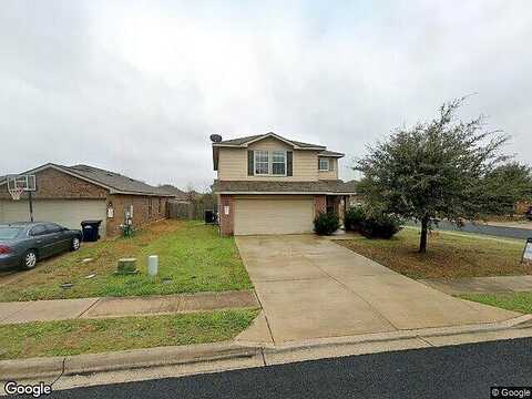 Magpie Goose, LEANDER, TX 78641