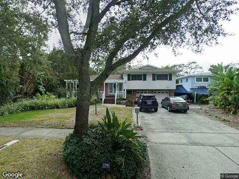 Jungle, SAINT PETERSBURG, FL 33710