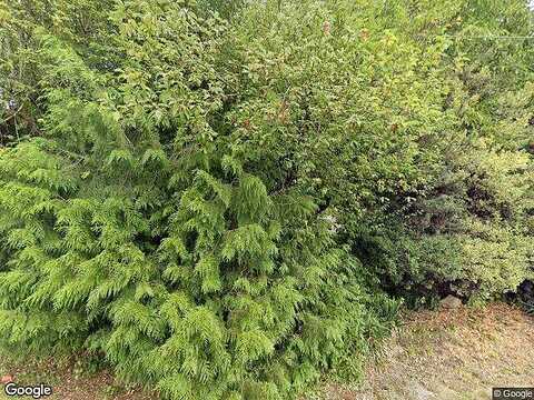 436Th, ENUMCLAW, WA 98022