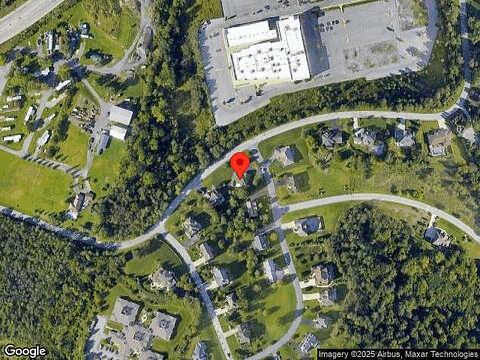 Red Fox, DUNCANSVILLE, PA 16635