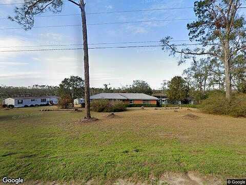 Dusty Miller, MADISON, FL 32340