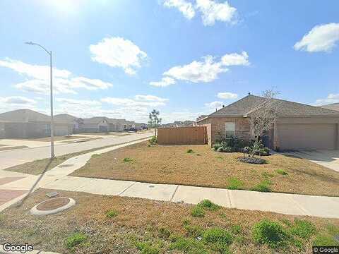 Ponderosa Pine, ROSHARON, TX 77583