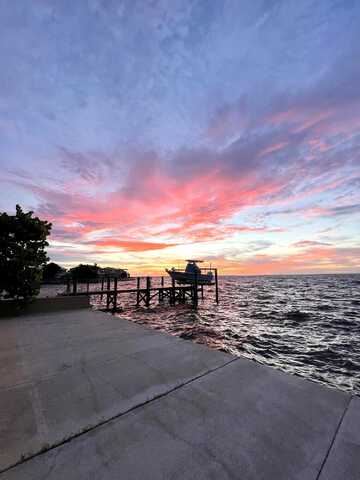 Carolina, SAINT PETERSBURG, FL 33703