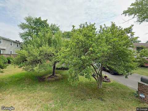Buttercup, CRANBERRY TOWNSHIP, PA 16066