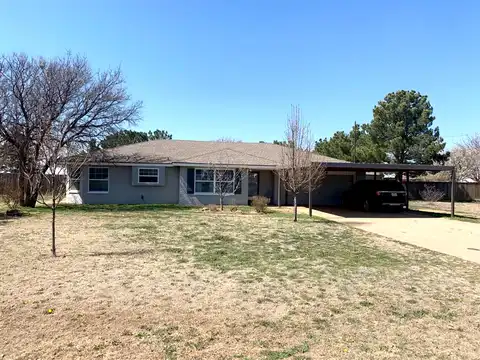 Robin, LEVELLAND, TX 79336
