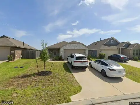 Larkspur Shadow, MAGNOLIA, TX 77354