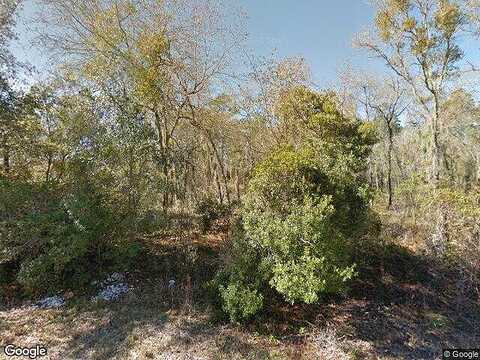 133Rd, WILLISTON, FL 32696