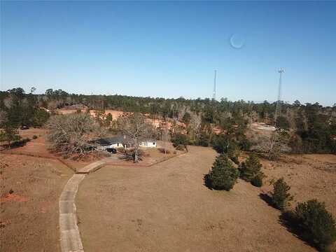 County Road 1060, WOODVILLE, TX 75979