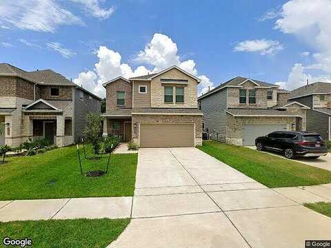 Aster, MAGNOLIA, TX 77354