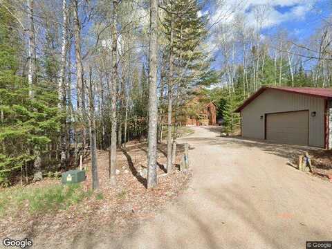 Birch Tree, EAGLE RIVER, WI 54521