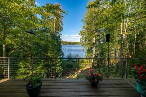 Birch Tree, EAGLE RIVER, WI 54521