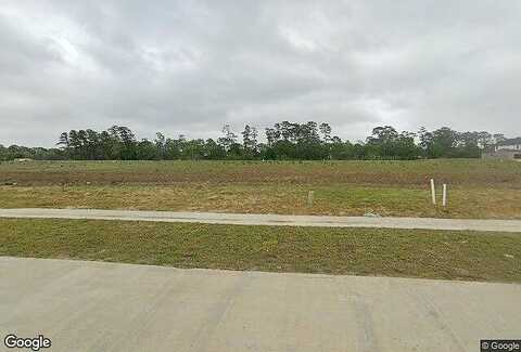 Leslies, DICKINSON, TX 77539