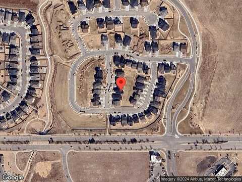 Spotted Owl, BRIGHTON, CO 80601